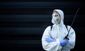 Услуги по уничтожению насекомых: как выбрать надежную компанию для обработки